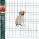 FOREHOGAR Green PVC Coated Welded Wire Fence 48 Inch x 25 Foot, 2 Inch x 3 Inch 16GA, Garden Border Fencing Roll Vinyl Coating Metal Wire Mesh for Yard Vegetable Plant Protection Poultry Netting