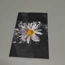 Natural Acts Of Kindness: Novella