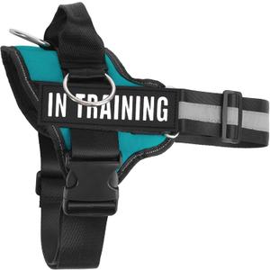 Essential Dog Harness with 3 Leash Clips - No-Pull, Adjustable, Comfortable Pet Vest Harness for Small to Large Dogs - Easy On, No Choke, Reflective, Padded Harness for Walking and Training (L(Neck:19-26",Chest:25-33"), Turquoise)