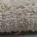 FLOLEOPA Soft Plush Microfiber Bathroom Rugs, Absorbent Bath Rugs Non Skid Machine Wash Dry Bath Mats for Tub,Shower and Bath Room Floor Mats (27.5x47inches, Cream)