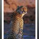 Mxtallup 17x24 Picture Frames Solid wood,Display Pictures 15x22 Inch With Mat or 17x24 Inch Without Mat, Poster Frames 15x22 in Photo Frames Wood Black (T22B1724W1522)