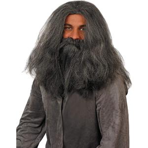 fun shack Gray Wig Wizard Beard and Wig Halloween Costumes For Men
