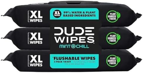 DUDE Wipes - Flushable Wipes - 3 Pack, 144 Wipes - Mint Chill Extra-Large Adult Wet Wipes - Vitamin-E, Aloe, Eucalyptus & Tea Tree Oils - Septic and Sewer Safe