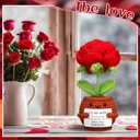 2 x Chunful Valentines Day Crochet Gift for Wife Romantic Handmade Crochet Rose Flower for Her Love Forever Gift for Valentines Day Wedding Anniversary Birthday