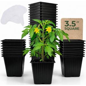 CARPATHEN 60Pack Square Nursery Pots - 3.5 Inch Seedling Plant Pot with Drainage Holes - 1020 Tray Optimized - Reusable Sturdy Seed Starter Pots for Flowers, Vegetables, Greens