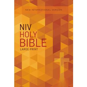 NIV, Outreach Bible, Large Print, Paperback