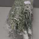 2 x Set of 24 Christmas Artificial Pine Branches 12.6" Faux Plants Evergreen Cedar Picks Fake Pine Needles Leaves Sprigs Winter Greenery Stems for Xmas Tree DIY Wreath Garland Holiday Accessories (Snow)