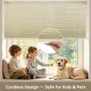 Changshade No Drill No Tools Light Filtering Cellular Shades,Cordless Blinds for Indoor Windows,Window Shades Honeycomb Blinds for Bedroom,Office,Home,36" w x 64" h,Beige