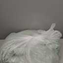 Bedsure Queen Comforter Set - Celadon Green Soft Bedding for All Seasons, Cationic Dyed Bed Set, 3 Pieces, 1 Queen Size Comforter (90"x90") and 2 Pillow Shams (20"x26"+2")