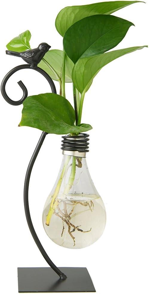 Marbrasse Desktop Glass Planter Hydroponics Vase,Planter Bulb Vase with Holder for Home Decoration,Modern Creative Bird Plant Terrarium Stand, Scindapsus Container (Bulb Vase)
