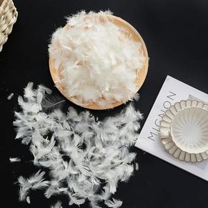 ROSE FEATHER Bulk Goose Down Feather Stuffing & Fill – Hypoallergenic Pillow Filling, Repair, Restuff, Fluff for Couch Cushions, Comforters, Jackets10/90-1Lb DIY