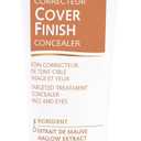Guinot Cover Finish Concealer