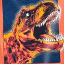 The Children's Place Boys All Holidays,Birthdays Short Sleeve Graphic T-Shirts,2 Pack (Blue, XS)