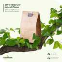 Culinware Kraft Paper Bags 2 Lb - Durable Brown Paper Bags for Snack, Sandwich, Pastries, Popcorn, Grocery and Party Favor Bulk Paper Bags 4.5 x 2.7 x 7.7 In - 500 Count