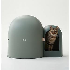 MS!MAKE SURE Cat Litter Box MAX - Stylish & Functional for Indoor Cats - 2023 New Modern Design - Large Space, Leak-Proof, and Odor-Free - Includes Litter Scoop - Green