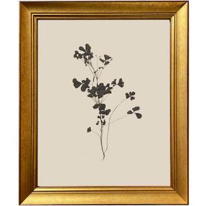 Gold Framed Neutral Floral Sketch Painting Vintage Flower Wall Art Minimalist Botanical Fine Art Print Artworks for Living Room Bedroom Bathroom Home Cottage Core Decor, 20"L x 16"W