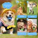 Nobleza Tennis Balls for Dogs 12 Pack, 2.5in Durable Bouncy Floatable Squeaky Tennis Balls for Dogs for Fetch & Exercise, Training Interactive Natural Rubber Squeaky Dog Ball for Small Medium Dogs