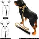 Jewelry Kingdom 1 Gold Dog Martingale Collar Metal Chain with Design Secure Buckle Dog Tag, 18K Cuban Link 15MM Strong Heavy Duty Chew Proof Walking Training Slip Collar (15MM, 26") (26"(Fits Neck 24"-23.5"))