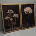 2Pcs Framed Moody Botanical Wall Art with Wood Frame Vintage Queen Annes Lace Flower Canvas Paintings Rustic Floral Poster Picture Prints Decor for Farmhouse Living Roomor Bedroom16X24In (16x24Inches)