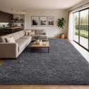 Ophanie Area Rugs 10x14 Living Room, Large Grey Bedroom Carpet, Big Shag Indoor Thick Soft Nursery Rug, Fluffy Carpets for Boy and Girls Room Home Decor Aesthetic with Over 99 pcs Pile fibers