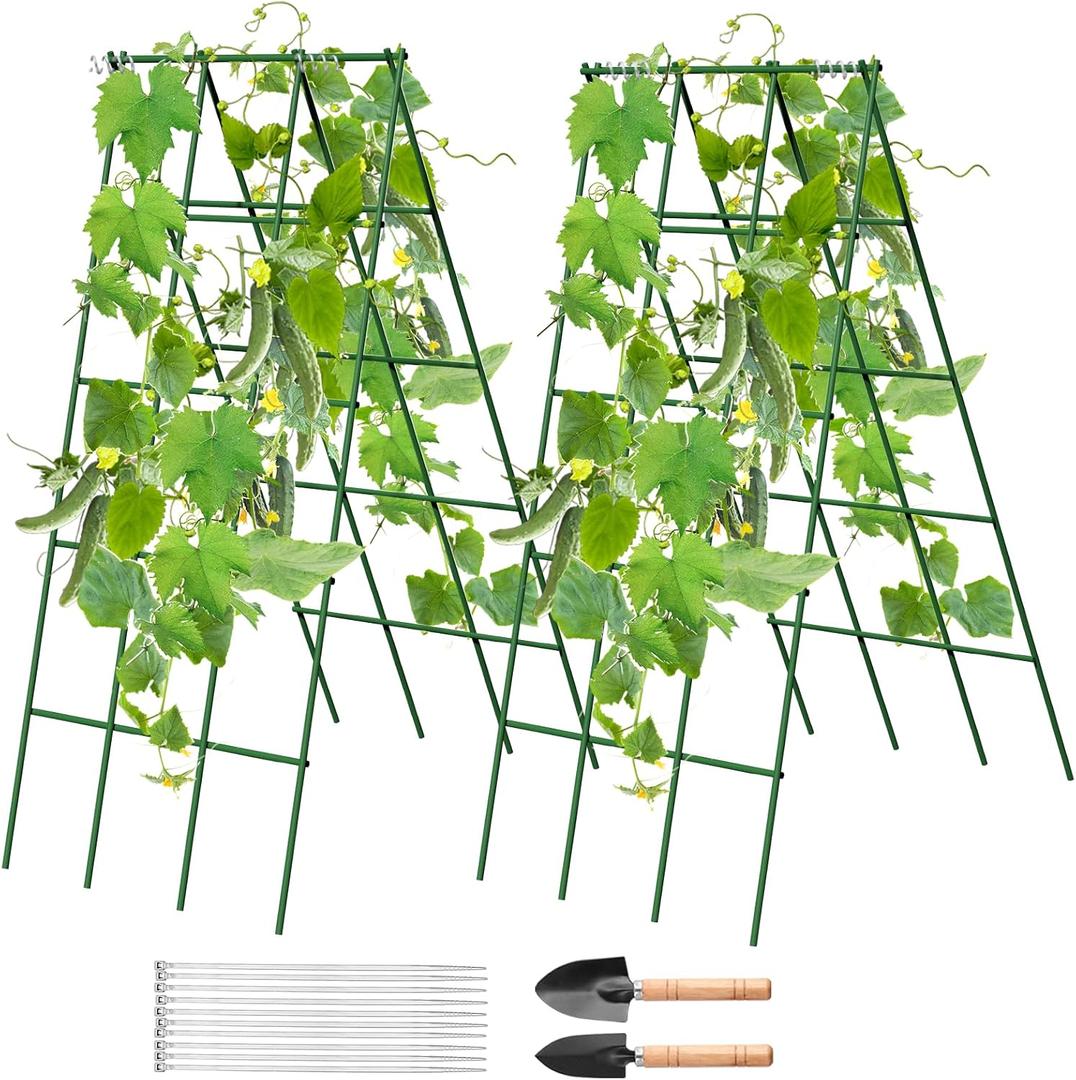 No Assembly Required Cucumber Trellis,2 Pack Trellis for Cucumbers,Outdoor Raised Bed Climbing Plant Support,A-Frame Garden Frame,Used for Vegetables,peas,Tomatoes,Squash,Melon and Fruit Frame