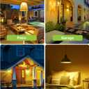 LEDERA LED Amber Light Bulbs, A19 9W(60W Equivalent) 2000K Amber Yellow LED Bulbs, E26 Base for Bedroom, Porch, Baby Nursery Room, Yard, Patio Lighting, Non-Dimmable, 6 Packs, 120VA1907W9E26
