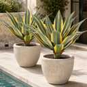 Artificial Agave Plants Outdoor, 24” Large UV Resistant Spiked Fake Agave with 24 Lifelike Leaves, Faux Succulents Plant for Home Front Porch Patio Garden Yard Indoor Decor 1Pack