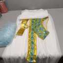 Morph Cleopatra Costume Kids, Egyptian Costume Kids, Cleopatra Outfit for Girls, Size Large