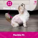 American Kennel Club Female Dog Wrap, Disposable Diapers with Wetness Indicator, Large, 50 Count (Large Waist Size 18 - 27 in)