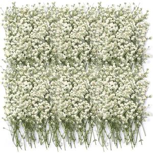 Tinideya 100 Pcs Dried Babys Breath Flowers Bulk Babys Breath Real Pressed Flowers Natural Gypsophila for Resin Wedding Art Craft Baby Shower DIY Invitations Scrap Booking Card Making(Ivory White)
