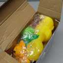 Liliful 18 Pcs Latex Squeaky Dog Toys 3.5 Inch Dog Squeaky Toys Soft Rubber Chew Toys Durable Fetch Play Animal Balls Toy for Small Dogs Puppy Medium Pets Dogs