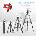 NEEWER Basic 74" Video Tripod with Fluid Head , Metal Camera Tripod with Smooth Friction Damping, Mid Level Spreader, Quick Release Plate Compatible with Manfrotto 501, Max Load 17.6lb, TP37