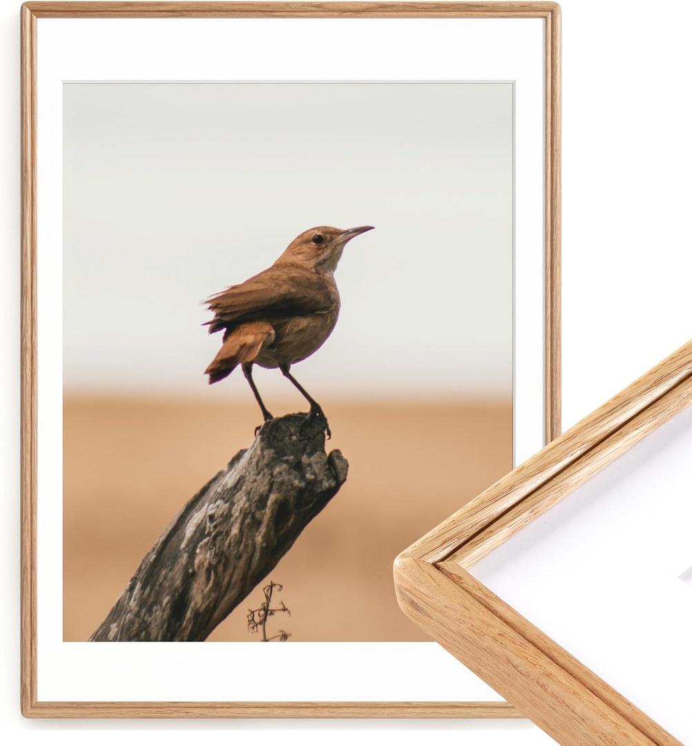 18 x 24 Poster Frame, Natural Solid Oak Wood Picture Frame with High Tempered Glass, Handcrafted Rounded Corner 18 by 24 Wooden Frame Matted to 16x20 Photo for Horizontal or Vertical Wall Mounting (18x24, 1 Pack)