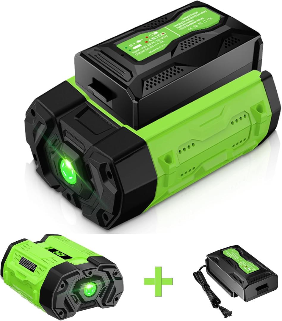 TPDL Replace for EGO 56V 5.0Ah Battery and Charger BA2800 BA4200 BA1400, Compatible with EGO All 56V Power+ Tools Lawn Mower Leaf Blower Chainsaw ST1511T LB7654 ST1623T