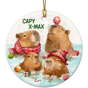 Funny Capybara Christmas Ornament 2025  Cute Capybara Gifts for Girls, Capybara Lovers  Animal Lover Gifts for Women, Daughter, Son, Family, Friends, Ceramic Hanging Ornament, Kids Stocking Stuffer