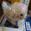 Kindenwinn Puppy Dog Toy for Girls 3+, Voice Activate, Walking, Sitting, Barking Golden Retriever Interactive Puppy with Accessories, Realistic Stuffed Animal Gift for Girls 3-6 Years Old