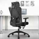 FelixKing Ergonomic Office Chair, Adjustable Lumbar Support, Breathable Mesh Backrest, 18-inch Black