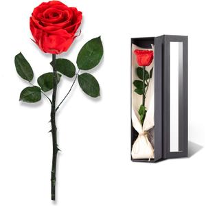 Flowers for Delivery Prime, Preserved Roses Flower Gifts for Women, Real Roses Single Rose Gifts for Her, Mom Birthday Gifts from Daughter, Valentines Flowers Red Roses