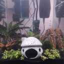 2 x YXQ Aquarium Decorations Ceramic Mushroom House for Fish Tank Landscape to Small Shrimp/Goldfishes Hiding Rest and Breed (Grey) (Gray)