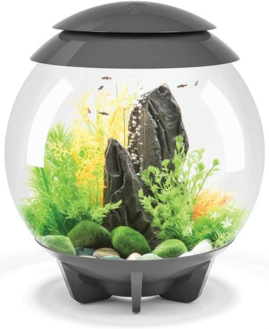 biOrb Halo 15 Acrylic 4-Gallon Aquarium with Multi-Color Remote-Controlled LED Lights, Gray
