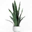 Ollain Artificial Plant 23.6" Fake Snake Plant Faux Plants Green Fake Succulent Potted for Bathroom Shelf Decor Desk Plant Home Office Decor (White)