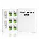 Hair Regrowth System  Advanced Hair Growth Treatment for Men & Women with Ginseng, Eclipta Prostrata, Peppermint & Ginger Root  Thickening Serum for Thicker, Fuller Hair