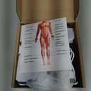 AYURA Massage Gun Deep Tissue, Muscle Massager Gun for Pain Relief, Percussion Massage Gun with 30 Speeds & 6 Heads, Portable Handheld Back Massage Gun for Athlets Men Women (Black)