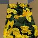 HyeFlora Artificial Fake Hanging Flowers Plants Baskets for Outdoor Outside, Faux Silk Yellow Morning Glory Flowers UV Resistant Look Real Hanging Planter for Home Porch Patio Balcony Yard Decor