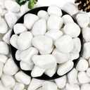 YISZM 40lbs White River Rocks for Landscaping, 1-2 Inch Natural Pebbles for Indoor Plants, High Polished Decorative Stones Garden Outdoor and Indoor DIY Vase Filler Fish Tank Aquariums