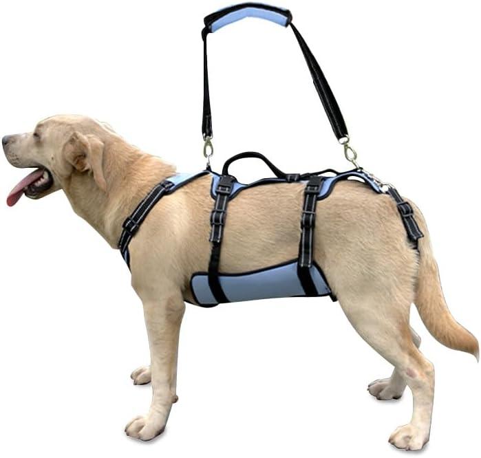 Coodeo Dog Lift Harness, Full Body Support & Recovery Sling, Pet Rehabilitation Lifts Vest for Old Dog with Arthritis Walk(Bule,XL) (Blue)