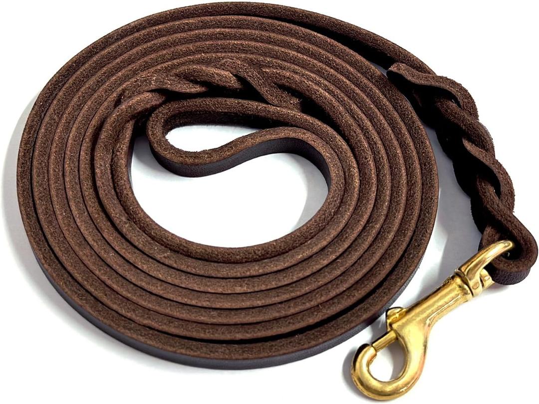 Guiding Star Leather Dog Leash for Small Dogs 6 ft Up to Medium Dogs, Small Thin Dog Leash for Puppies and Cats (1/3 inch Wide, 6 Feet, Brown)