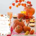 Little Pumpkin Baby Shower Table Decorations, Pacifier Hunt Baby Shower Game with 50 Mini Plastic Pacifiers, 5.6x 7.8" Wooden Game Sign for Pumpkin Gender Reveal Decorations Activities for Guests