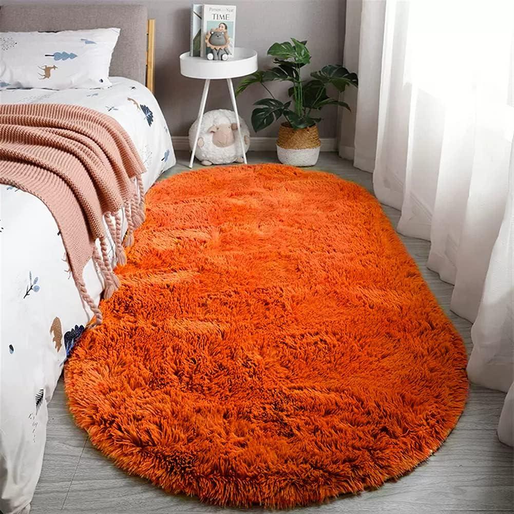 Reyox Fluffy Soft Oval Area Rug, Plush Shaggy Carpet for for Living Room Bedroom Home Dcor Orange 2.0 x 3.0 Feet