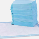 Basics Dog and Puppy Pee Pads, 5Layer LeakProof Super Absorbent, QuickDry Surface, Potty Training, Regular (22x22"), 100 Count, Blue & White